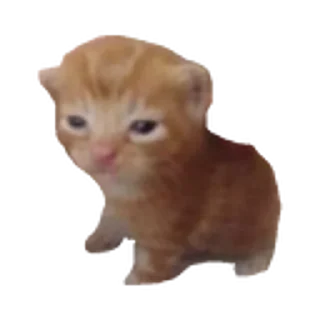 😮‍💨 emoji НАС РАНО Telegram sticker 21 of 54