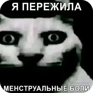 💀 emoji Нет слов, одни эмоции @TgEmodziBot Telegram sticker 19 of 28