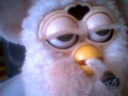 😆 emoji Furby Telegram sticker 16 of 46