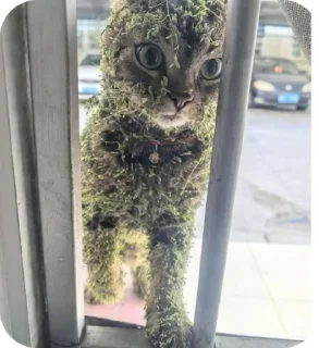 Sticker from Котеке💗💗