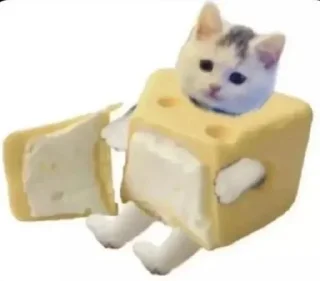 🧀 emoji Hyinya ot Tangy 3 Telegram sticker 12 of 120