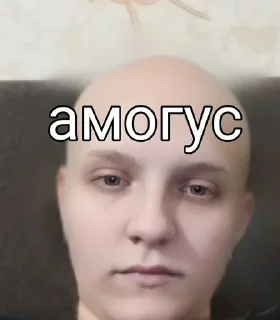 🥵 emoji Биба и боба Telegram sticker 19 of 20