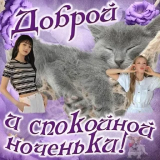 🌟 emoji Гуд нихт Telegram sticker 14 of 120