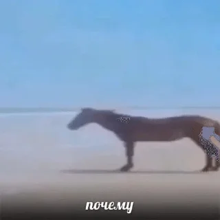 🌟 emoji Для важных переговоров Telegram sticker 22 of 111