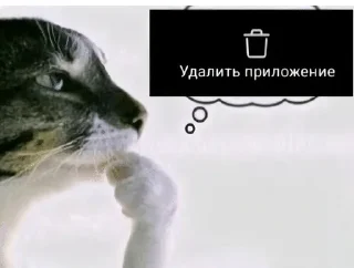 🌟 emoji Для важных переговоров Telegram sticker 23 of 111