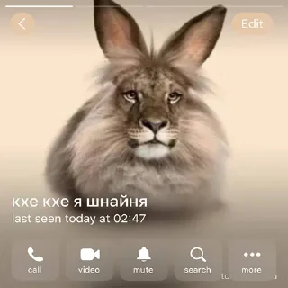 😇 emoji Сеня z гойда Telegram sticker 7 of 120