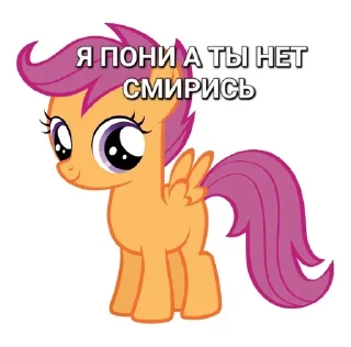 ⚡ emoji Я пони а ты нет смирись Telegram sticker 15 of 29