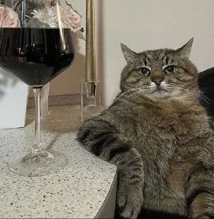 🍷 emoji FeyerTeelsAster Telegram sticker 19 of 66