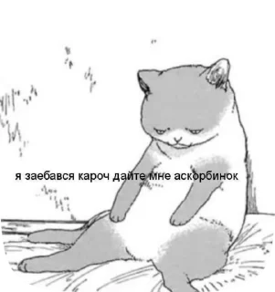 🌟 emoji Kotya Telegram sticker 12 of 22