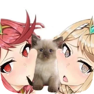Sticker from Kotya