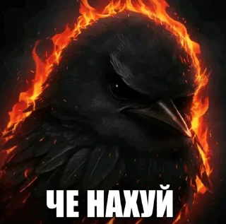 🌟 emoji птички 🦜 @drlkssixc Telegram sticker 1 of 99