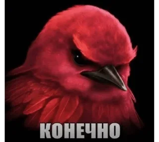 🌟 emoji птички 🦜 @drlkssixc Telegram sticker 2 of 99