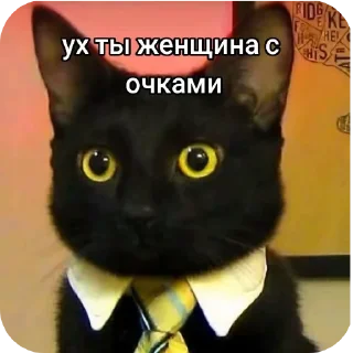 🐱 emoji intelligentnые стикеры Telegram sticker 9 of 61