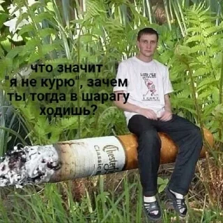 Sticker from Что случилось весной 2012)