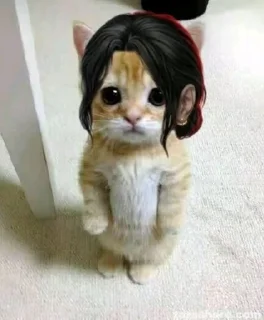 💜 emoji Для самых важных переговоров Telegram sticker 9 of 20