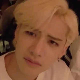 🐺 emoji чанни хён~ Telegram sticker 24 of 60
