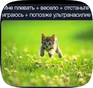 🥰 emoji тигей Telegram sticker 6 of 50