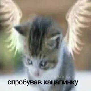 😋 emoji мєми для вкраїнчиків 2 Telegram sticker 7 of 119