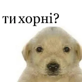🤔 emoji Мєми Telegram sticker 9 of 58
