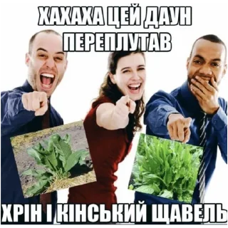 🥬 emoji мєми для вкраїнчиків 2 Telegram sticker 16 of 119
