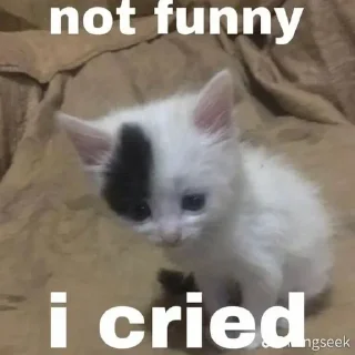 😭 emoji мяу 🤠 Telegram sticker 9 of 73