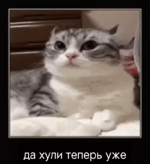 Sticker from на все случаи
