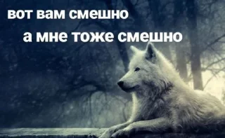 🌟 emoji Волчий стикер-пак. Telegram sticker 8 of 48