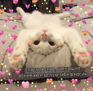 🥰 emoji любовь и котики Telegram sticker 13 of 61