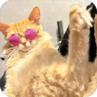 😎 emoji обсудим и осудим Telegram sticker 12 of 25
