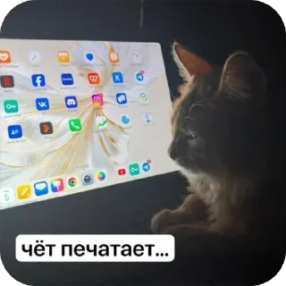 👨‍💻 emoji обсудим и осудим Telegram sticker 16 of 25