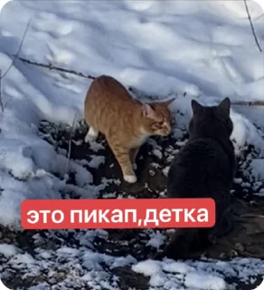 🌟 emoji обсудим и осудим Telegram sticker 8 of 25