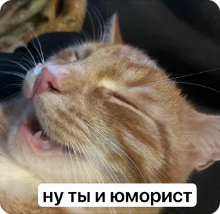🌟 emoji обсудим и осудим Telegram sticker 9 of 25