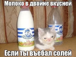 Sticker from Интересные вопросы Аллорину и интересные ответы на них