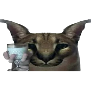 🌹 emoji Большой Шлепа @trafslybot Telegram sticker 13 of 25