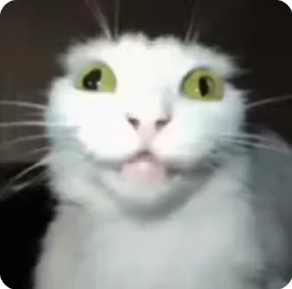 😉 emoji Зая из рая Telegram sticker 23 of 32