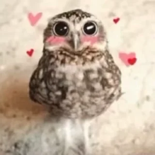 ❤️ emoji Зая из рая Telegram sticker 6 of 32