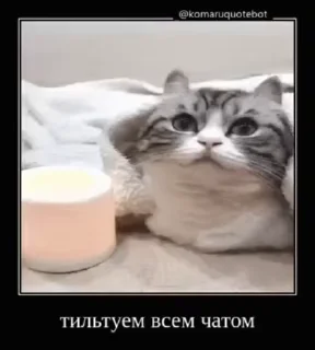 👨‍👩‍👧‍👦 emoji Гифки Оксимирона @tambilvirus Telegram sticker 16 of 120