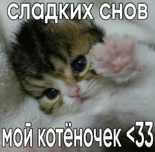😊 emoji Котеке 2 Telegram sticker 12 of 90