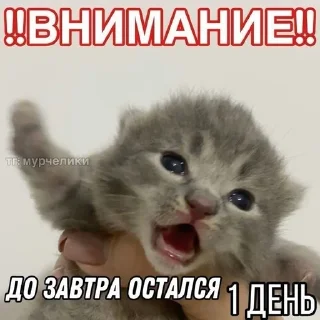 🌟 emoji А я на морі :: @Damkca @fStikBot Telegram sticker 11 of 50