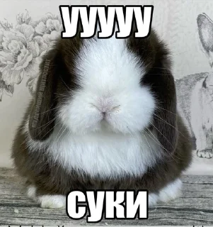 🌟 emoji А я на морі :: @Damkca @fStikBot Telegram sticker 4 of 50
