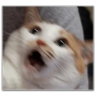 😦 emoji Cats by @KotoLagux Telegram sticker 10 of 120