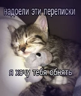 💋 emoji Mяуу Telegram sticker 5 of 11