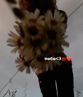 Sticker from нахуйнадо?