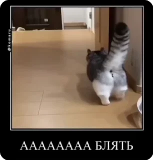 😮 emoji Комары и ко Telegram sticker 24 of 50