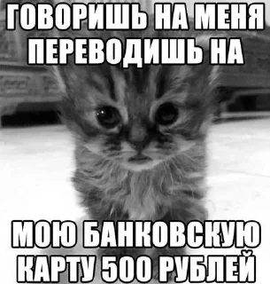 🌟 emoji пиздццц Telegram sticker 17 of 19