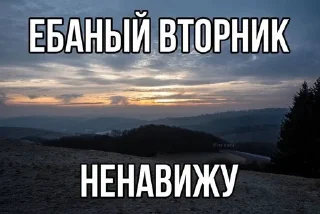 🌟 emoji учиться= ебу дал? Telegram sticker 16 of 75