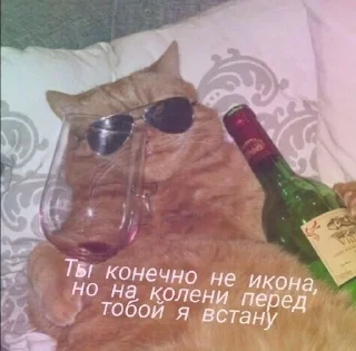 🍷 emoji Мило. Telegram sticker 22 of 120