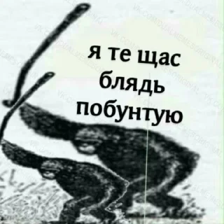 🤬 emoji Смысл жизни Telegram sticker 17 of 43