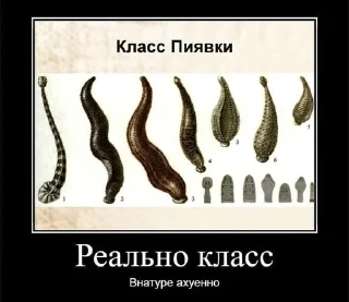 🌟 emoji Насрать мемы срочно вконтакте Telegram sticker 20 of 120