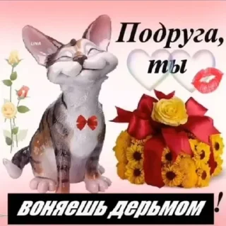 Sticker from Милые открытки ☺️